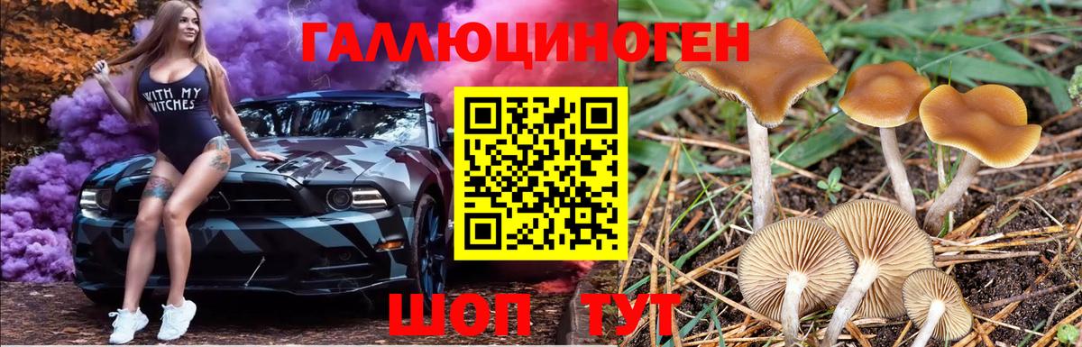 Галлюциногенные грибы GOLDEN TEACHER Волжск